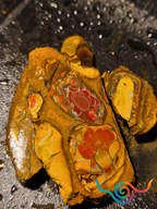 Parcel Rough Boulder Matrix Opal 2