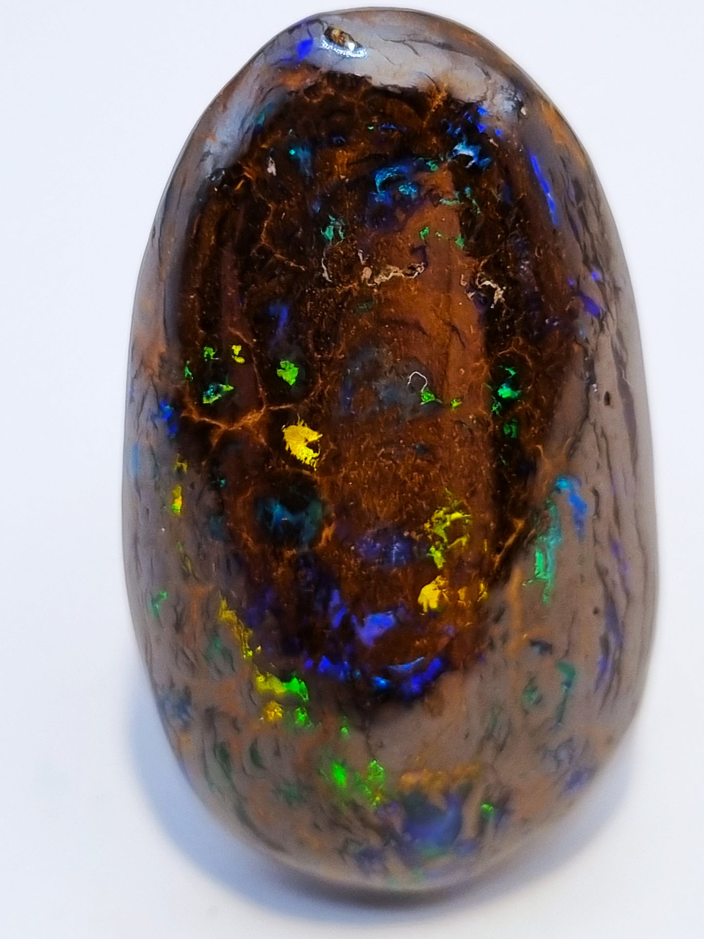 Winton Boulder Opaal 35 cts Multicolor