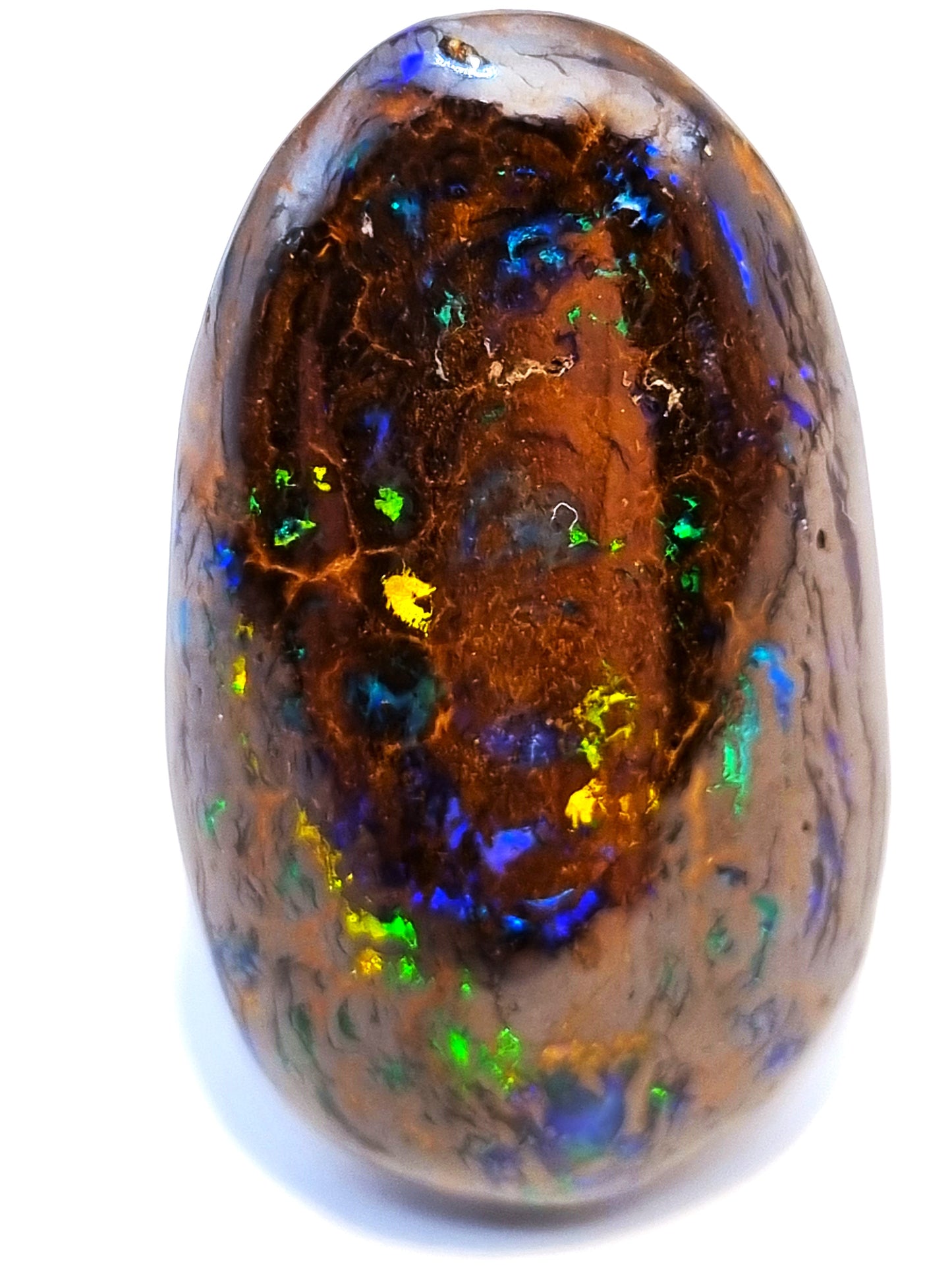 Winton Boulder Opaal 35 cts Multicolor